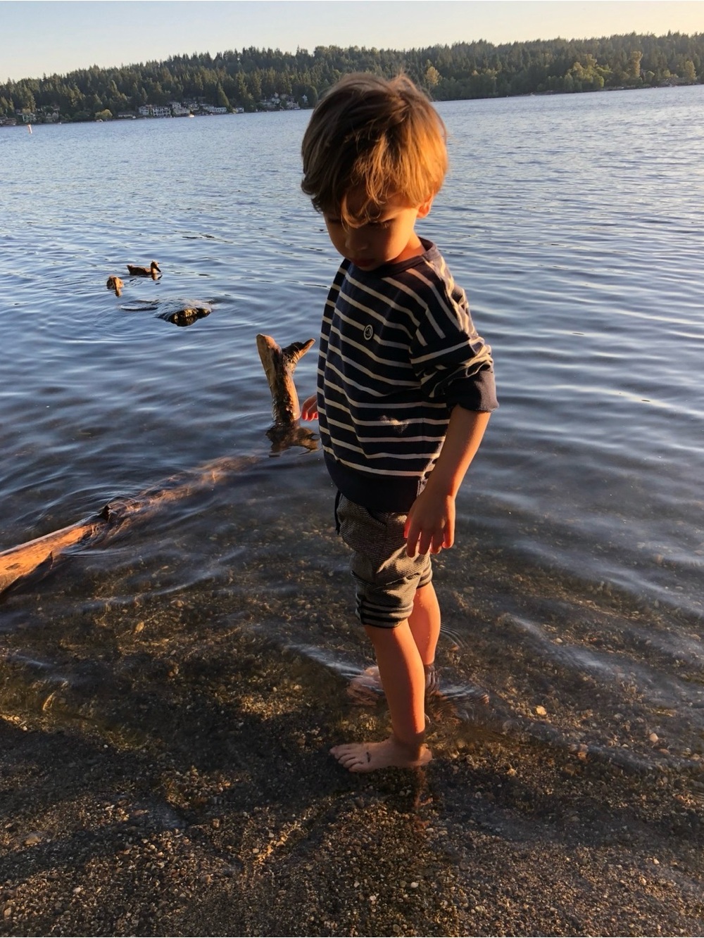 Petit Bateau Navy and White Striped Kids Sweatshirt - Boys 4/5Y
